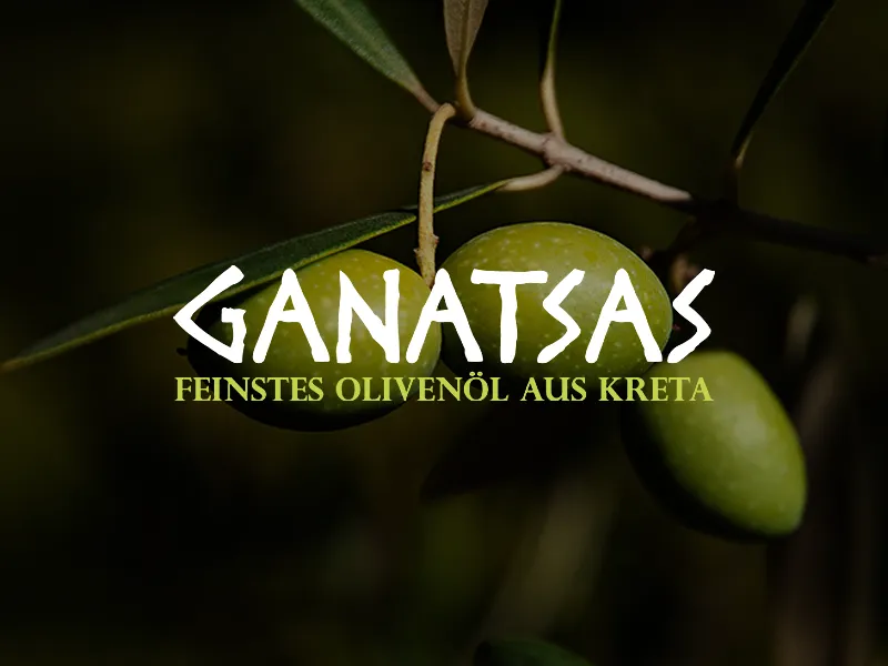Webdesign Ganatsas Onlinefachhandel - Onlineshop Website Ganatsas Onlineshop - Karlsruhe
